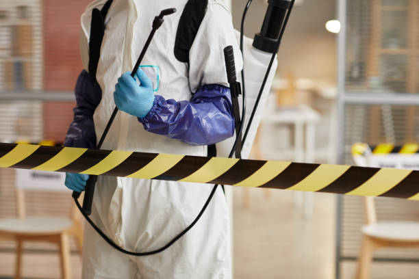 Professional Hoarding Cleanup technician working in Clermont, FL
